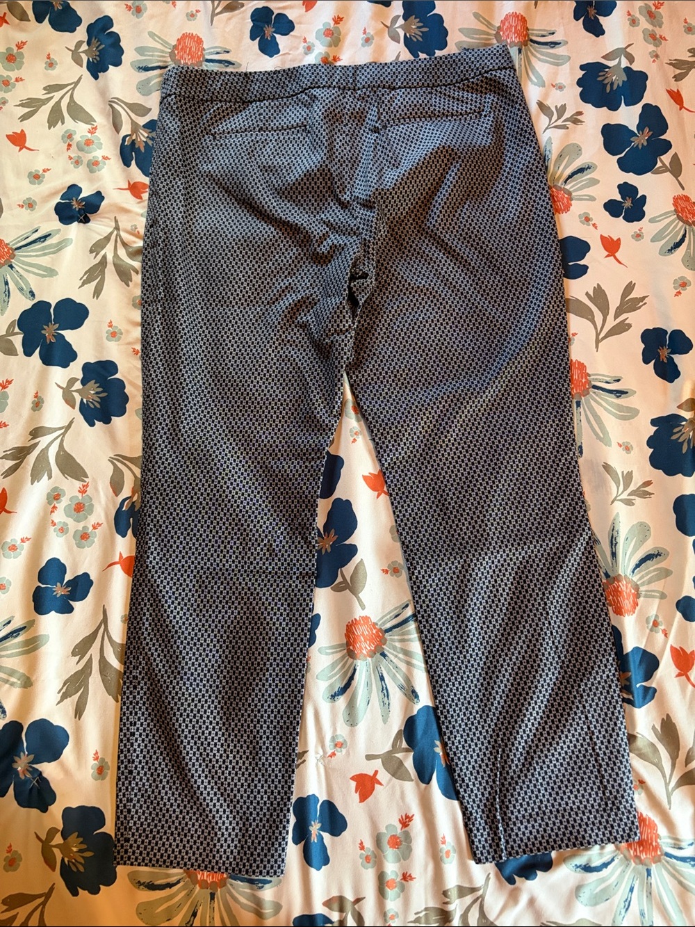 Dalia size 12 Patterned Ankle Pants w/Pockets - Picture 2 of 11